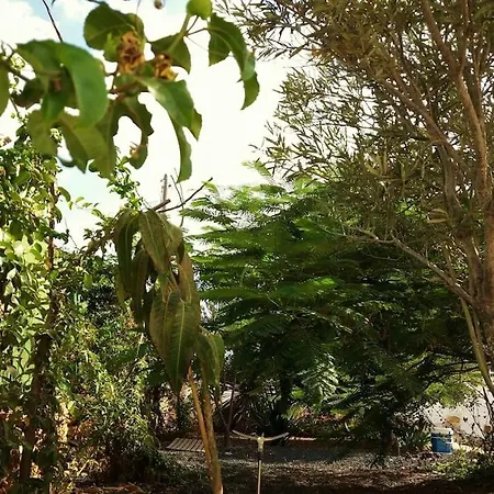 Casa Antigua En El Centro De Fuerteventura *